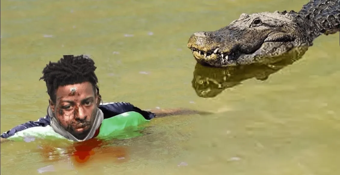 تمساح درحال مرگ را یک مرد نجات داد و سال ها بعد تمساح برگشت و از او تشکر کرد