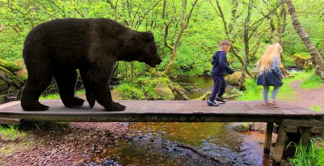 خرس‌های جذاب که بچه‌های باهوش را به سمت خود می‌کشانند