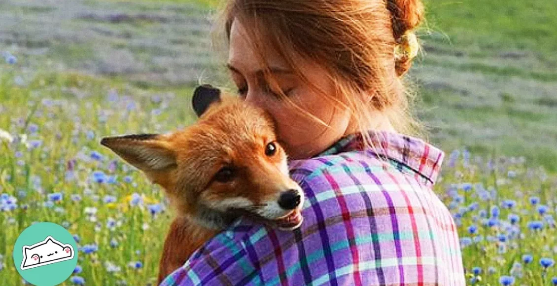 بچه روباه خانگی که قبل از اینکه دختری او را پیدا کند در جنگل گم شده بود