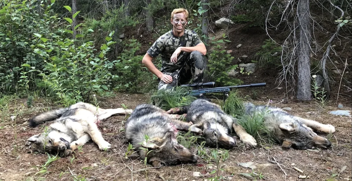 شکارچیانی که از حمله گرگ‌های وحشی انتقام میگیرند