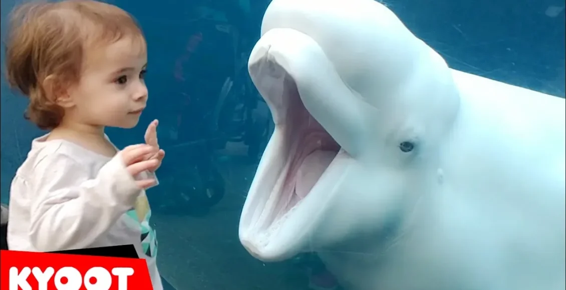 ویدیو خنده‌دار بچه ها در آکواریوم دلفین‌ها